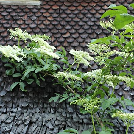 Naturparadies Silvia البيرشوينده المظهر الخارجي الصورة