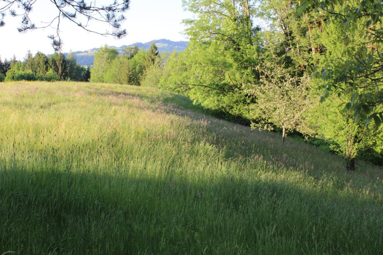 Naturparadies Silvia البيرشوينده المظهر الخارجي الصورة