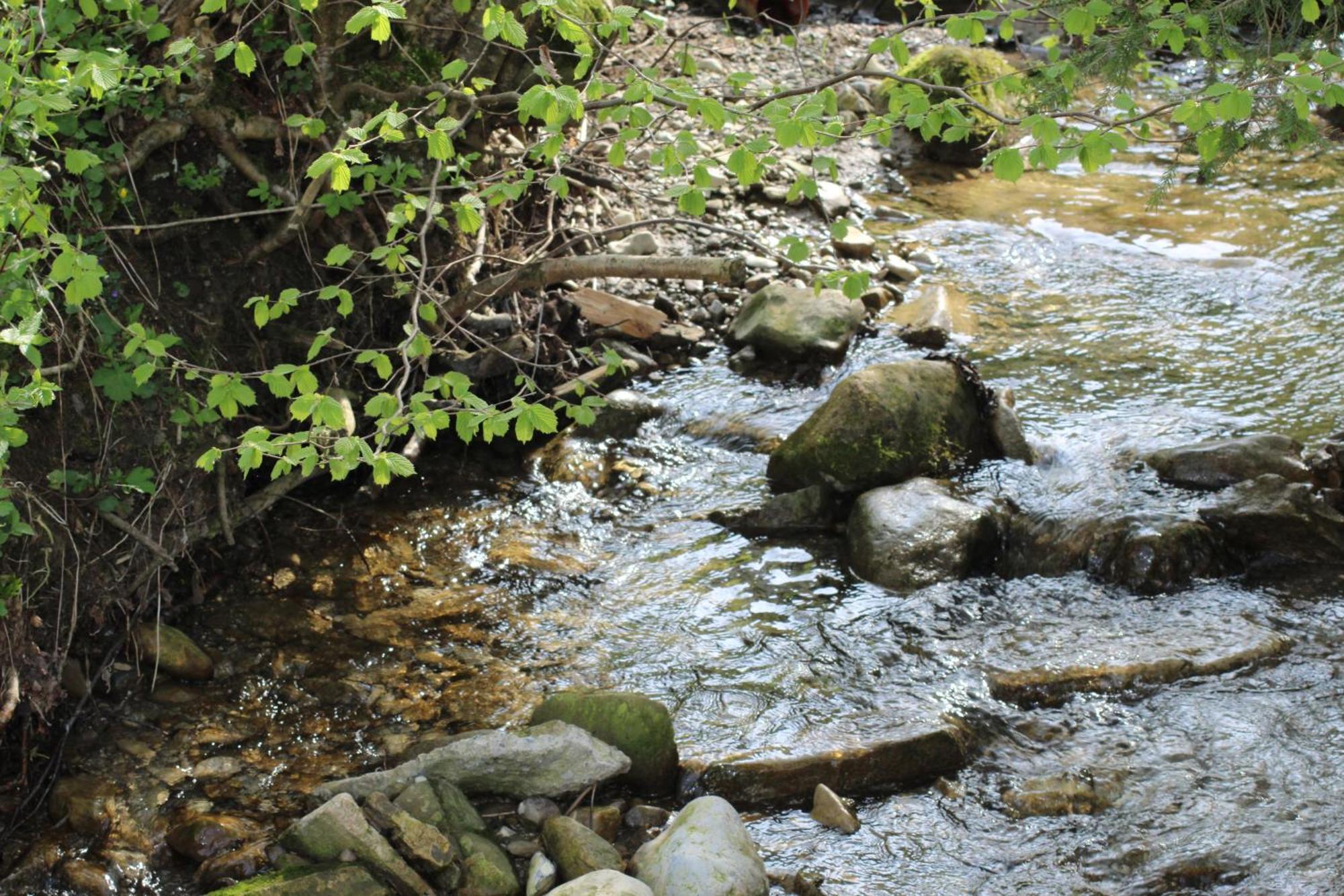 Naturparadies Silvia البيرشوينده المظهر الخارجي الصورة