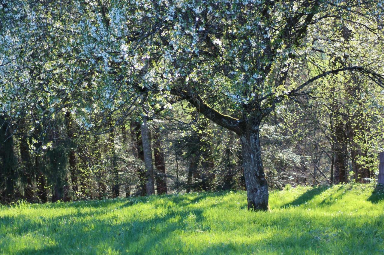 Naturparadies Silvia البيرشوينده المظهر الخارجي الصورة